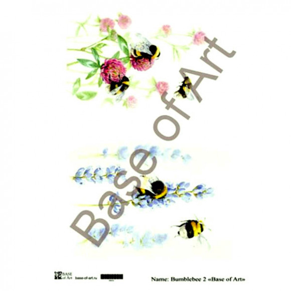 bumblebee_2lg.jpg