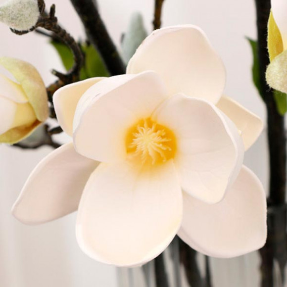 magnolia_vanil-1.jpg