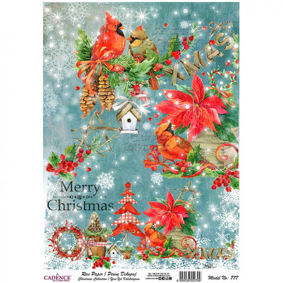 Christmas-Collection-777.jpg
