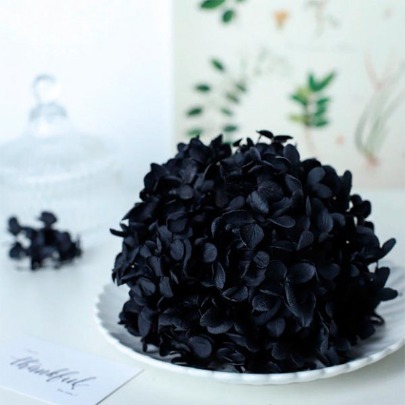 Сухоцветы объемные, гортензия черная