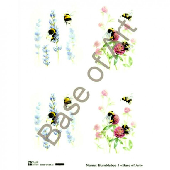 bumblebee_1.jpg