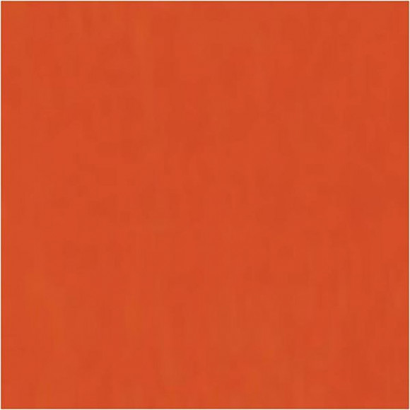 17816 orange.jpg