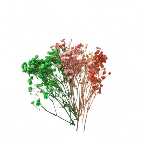 Сухоцветы объемные, Гипсофила красно-зеленые оттенки